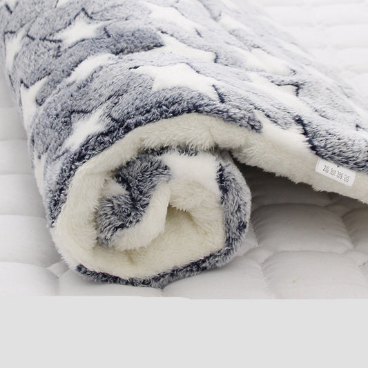 samtpfotenhaus Katzendecke